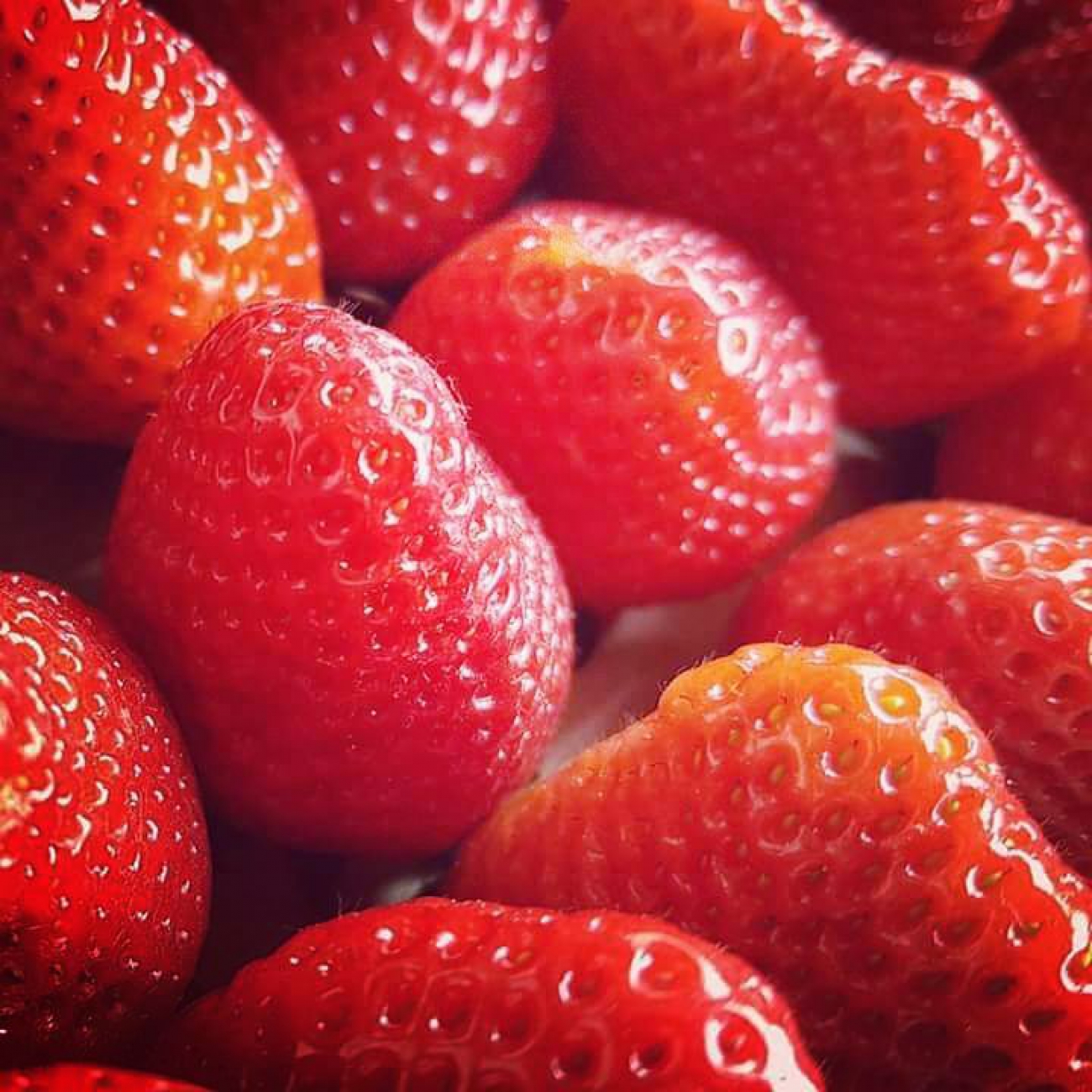 Erdbeeren Saisonobst